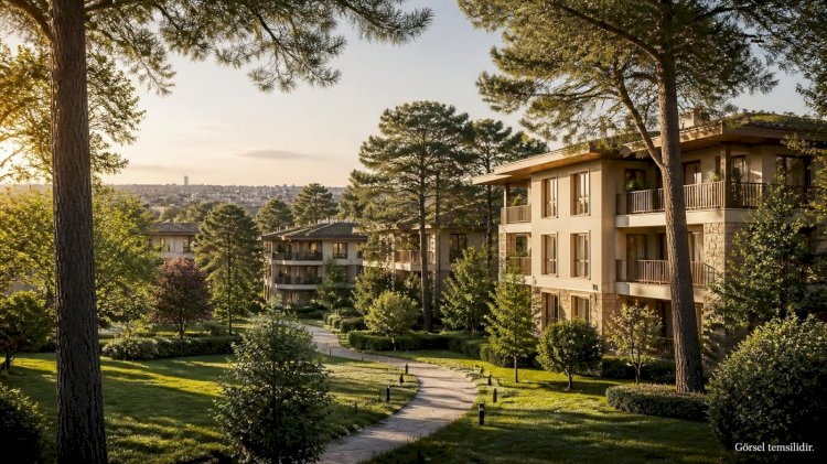 Tekfen Sitesi: Beşiktaş Ulus’ta Geniş Yeşil Alanlarıyla Köklü Yerleşim